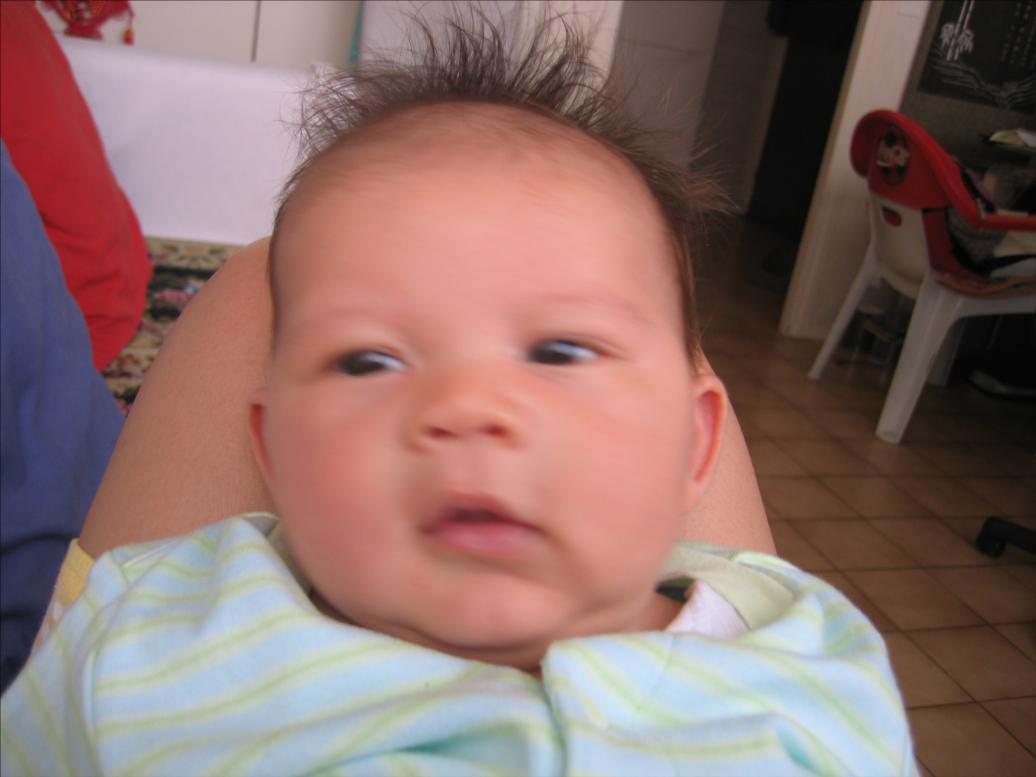Teo 10 semaines 021